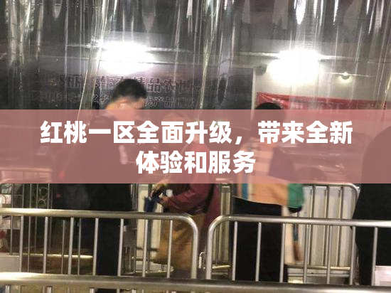 红桃一区全面升级，带来全新体验和服务