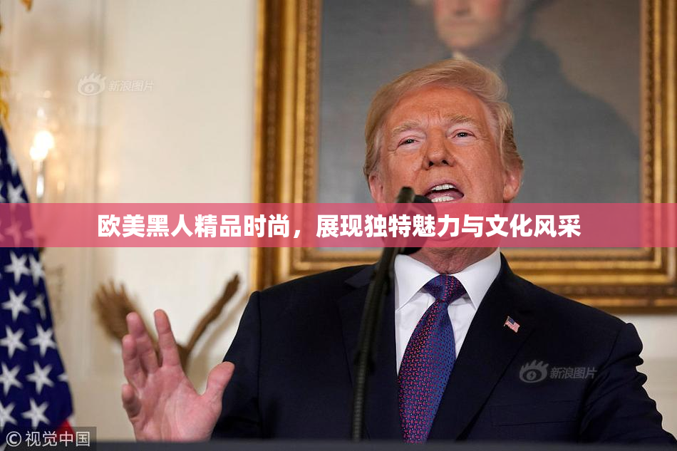 欧美黑人精品时尚，展现独特魅力与文化风采