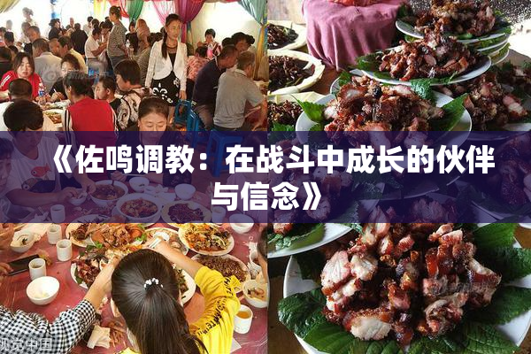 《佐鸣调教：在战斗中成长的伙伴与信念》