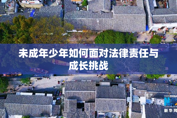 未成年少年如何面对法律责任与成长挑战