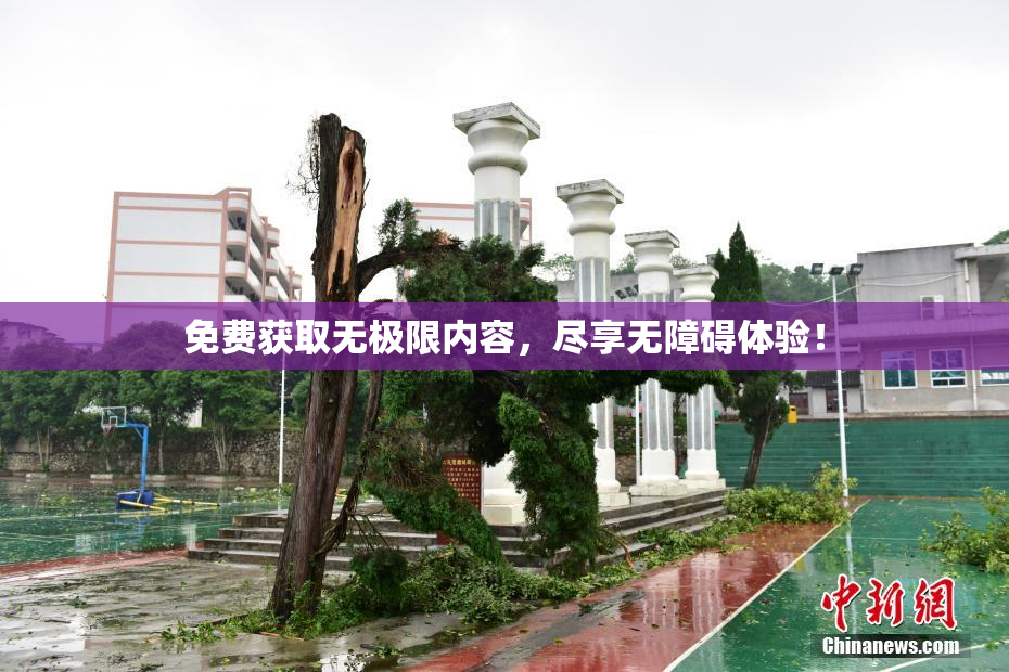 免费获取无极限内容，尽享无障碍体验！