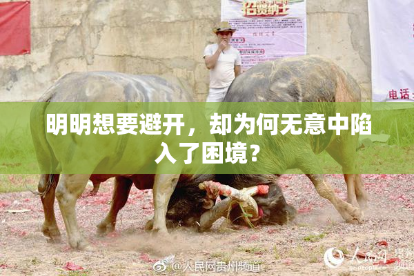 明明想要避开，却为何无意中陷入了困境？