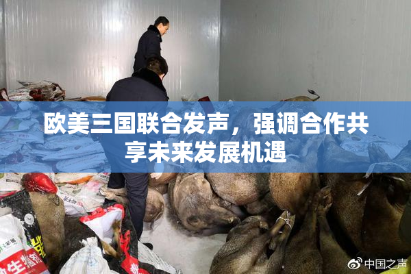 欧美三国联合发声，强调合作共享未来发展机遇