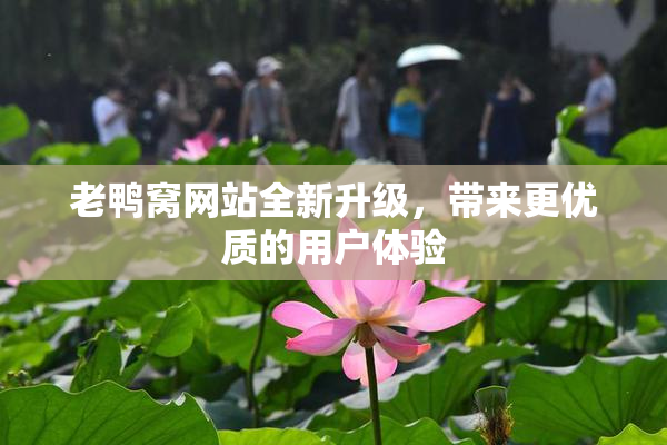 老鸭窝网站全新升级，带来更优质的用户体验