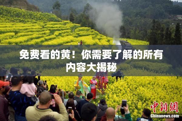 免费看的黄！你需要了解的所有内容大揭秘