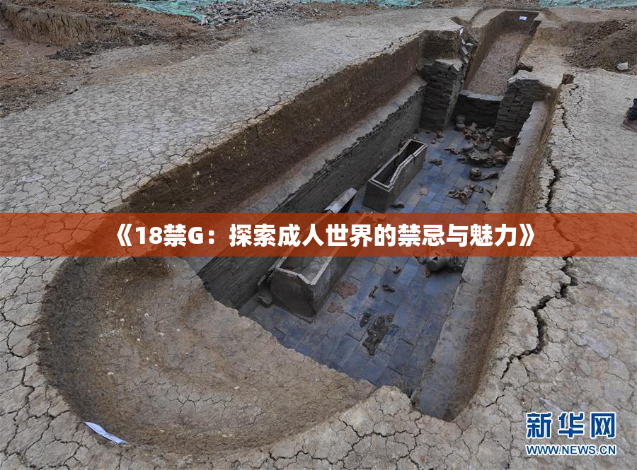 《18禁G：探索成人世界的禁忌与魅力》