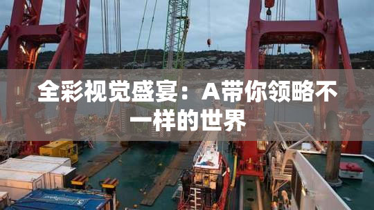 全彩视觉盛宴：A带你领略不一样的世界