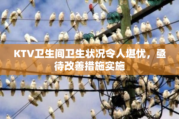 KTV卫生间卫生状况令人堪忧，亟待改善措施实施