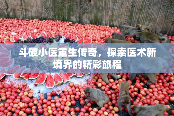 斗破小医重生传奇，探索医术新境界的精彩旅程