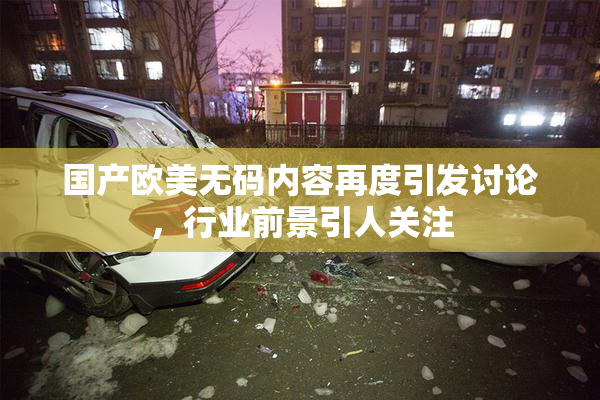 国产欧美无码内容再度引发讨论，行业前景引人关注