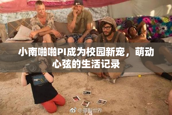 小南啪啪PI成为校园新宠，萌动心弦的生活记录