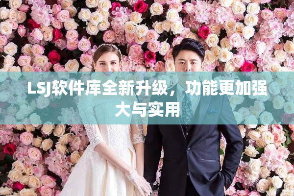 LSJ软件库全新升级，功能更加强大与实用