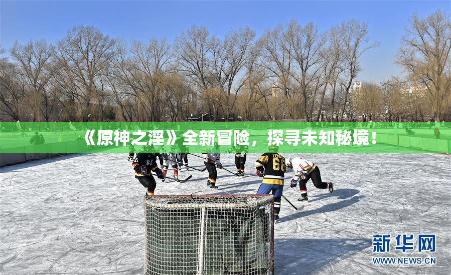 《原神之淫》全新冒险，探寻未知秘境！