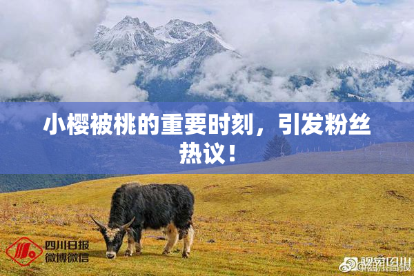 小樱被桃的重要时刻，引发粉丝热议！