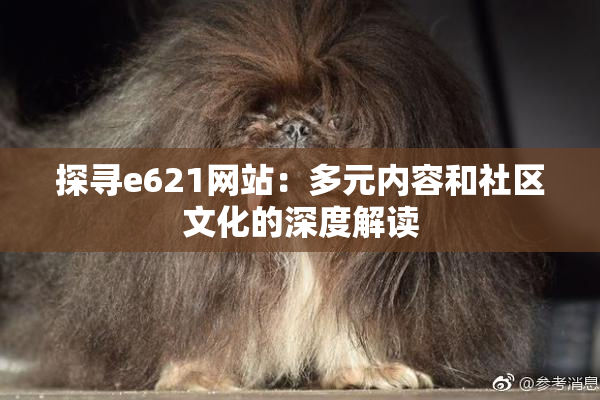 探寻e621网站：多元内容和社区文化的深度解读