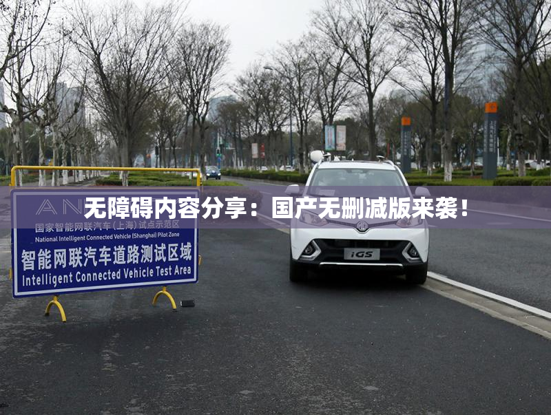 无障碍内容分享：国产无删减版来袭！
