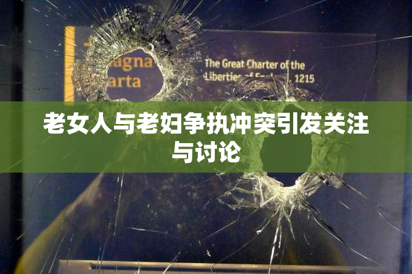 老女人与老妇争执冲突引发关注与讨论
