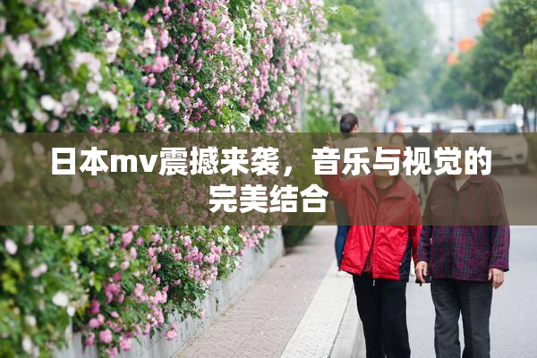 日本mv震撼来袭，音乐与视觉的完美结合