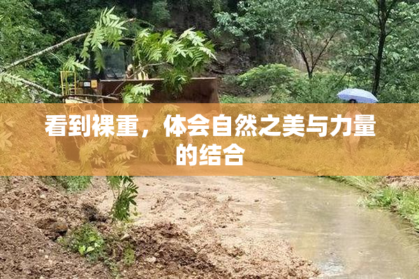 看到裸重，体会自然之美与力量的结合