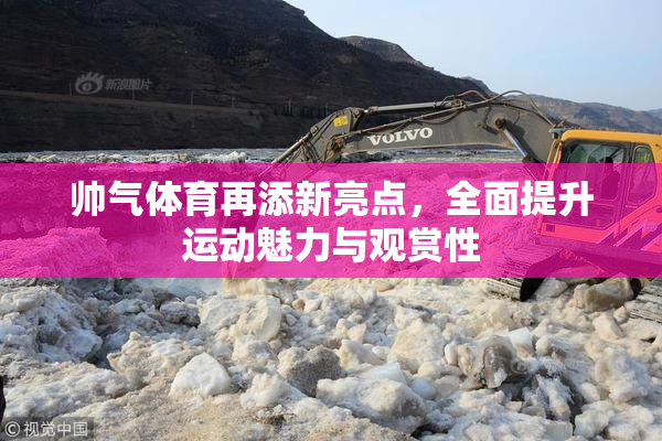 帅气体育再添新亮点，全面提升运动魅力与观赏性