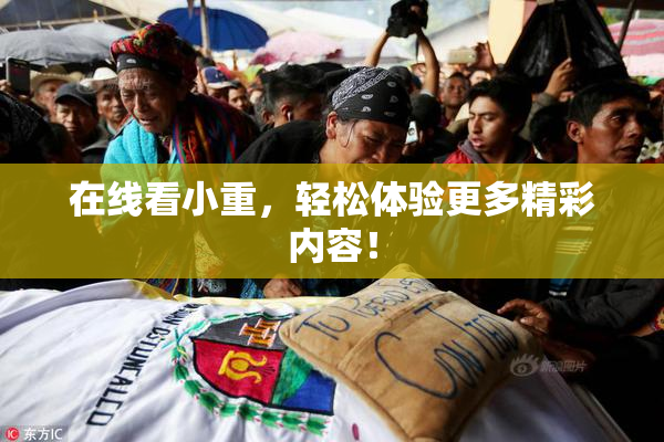 在线看小重，轻松体验更多精彩内容！