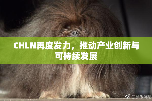 CHLN再度发力，推动产业创新与可持续发展