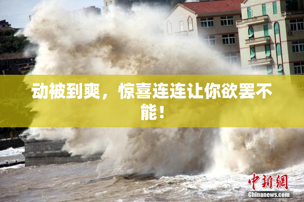 动被到爽，惊喜连连让你欲罢不能！