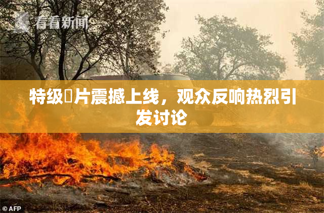特级婬片震撼上线，观众反响热烈引发讨论