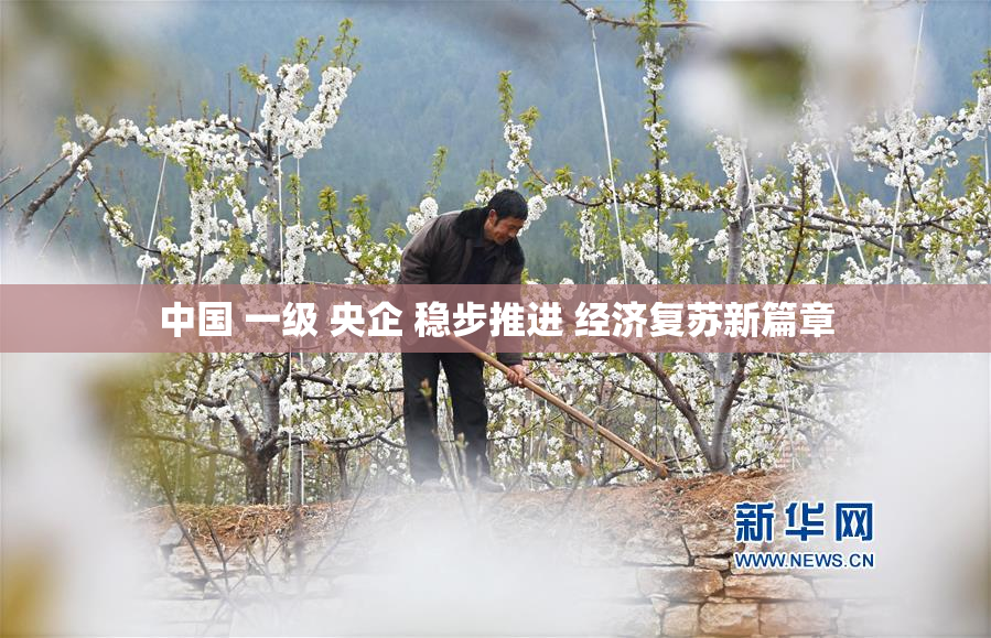 中国 一级 央企 稳步推进 经济复苏新篇章