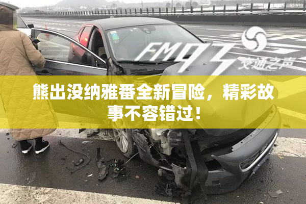 熊出没纳雅番全新冒险，精彩故事不容错过！
