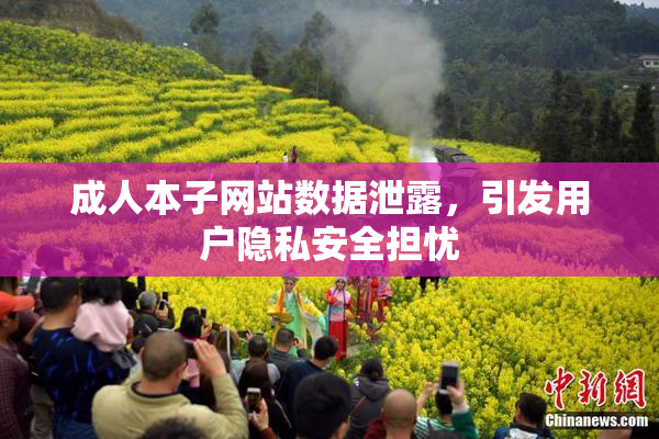 成人本子网站数据泄露，引发用户隐私安全担忧