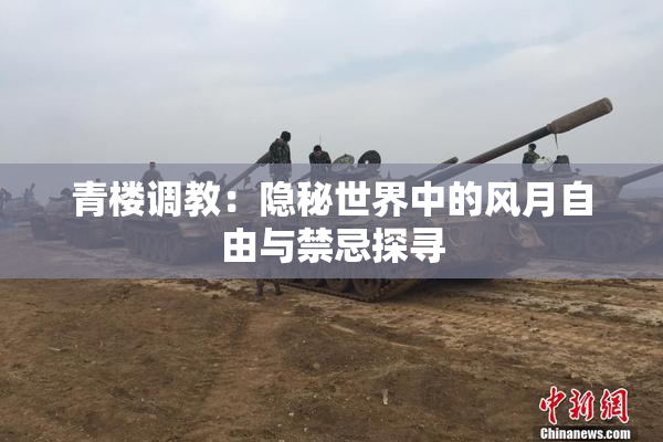 青楼调教：隐秘世界中的风月自由与禁忌探寻