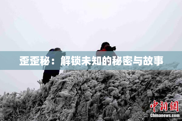 歪歪秘：解锁未知的秘密与故事