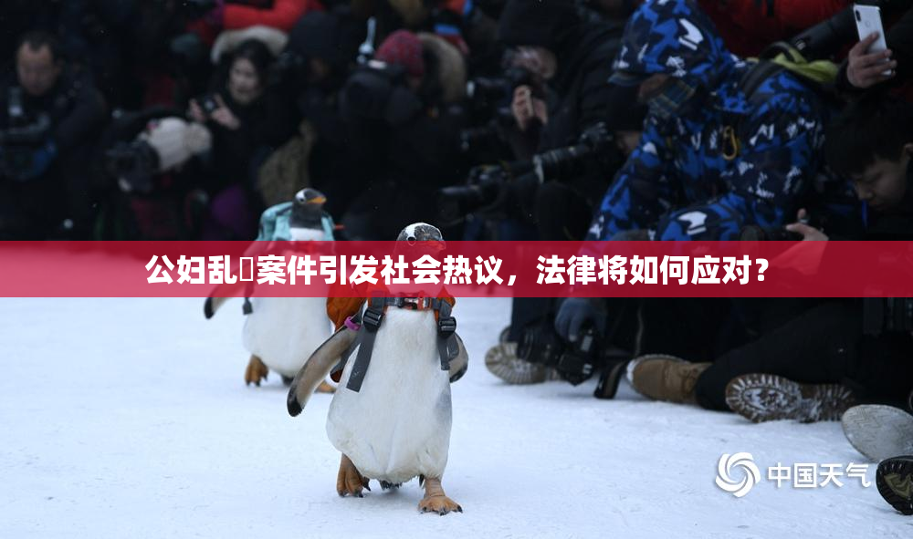 公妇乱婬案件引发社会热议，法律将如何应对？