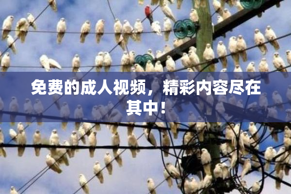 免费的成人视频，精彩内容尽在其中！