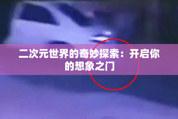 二次元世界的奇妙探索：开启你的想象之门