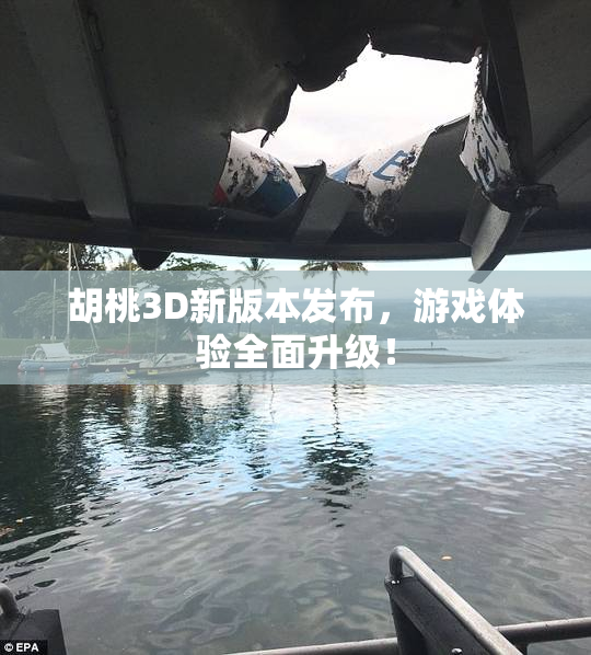 胡桃3D新版本发布，游戏体验全面升级！