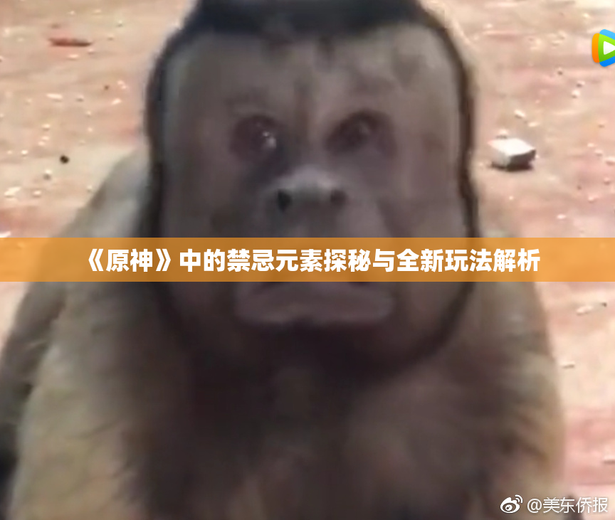 《原神》中的禁忌元素探秘与全新玩法解析