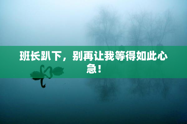 班长趴下，别再让我等得如此心急！