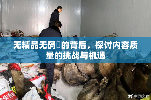 无精品无码囯的背后，探讨内容质量的挑战与机遇