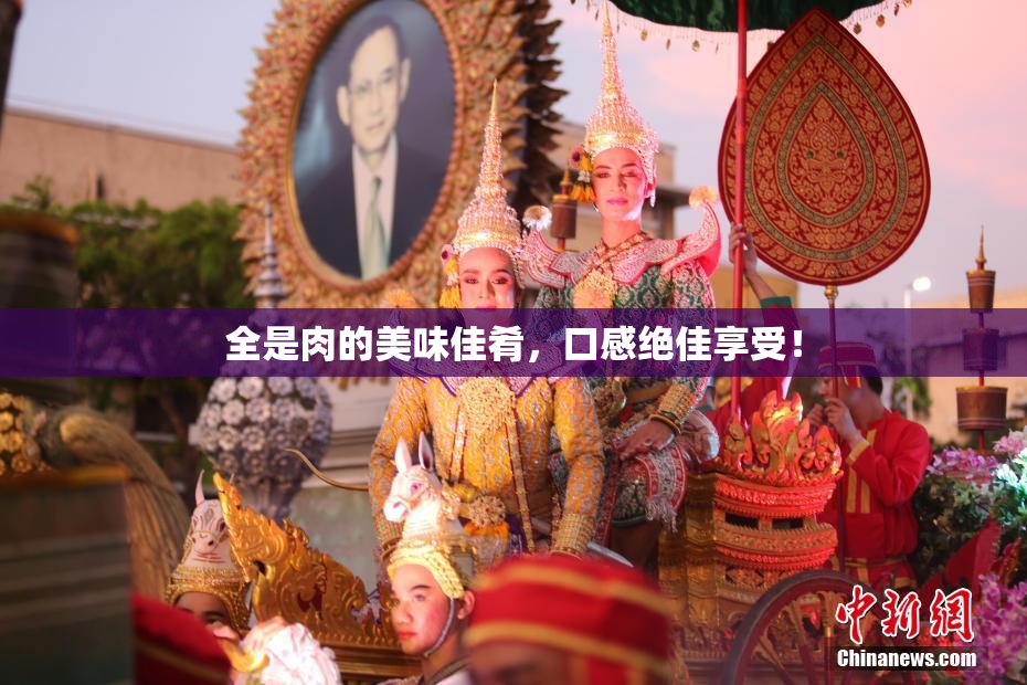 全是肉的美味佳肴，口感绝佳享受！