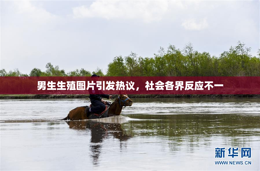 男生生殖图片引发热议，社会各界反应不一