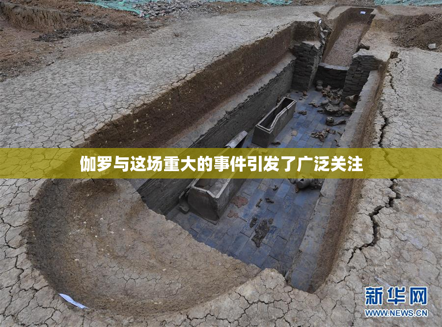 伽罗与这场重大的事件引发了广泛关注