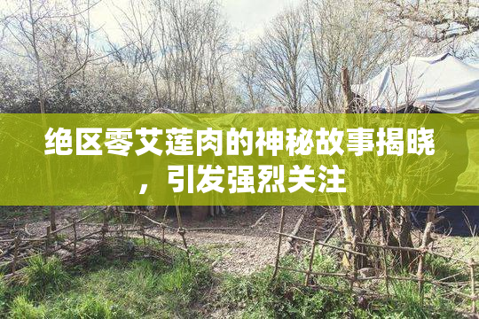 绝区零艾莲肉的神秘故事揭晓，引发强烈关注