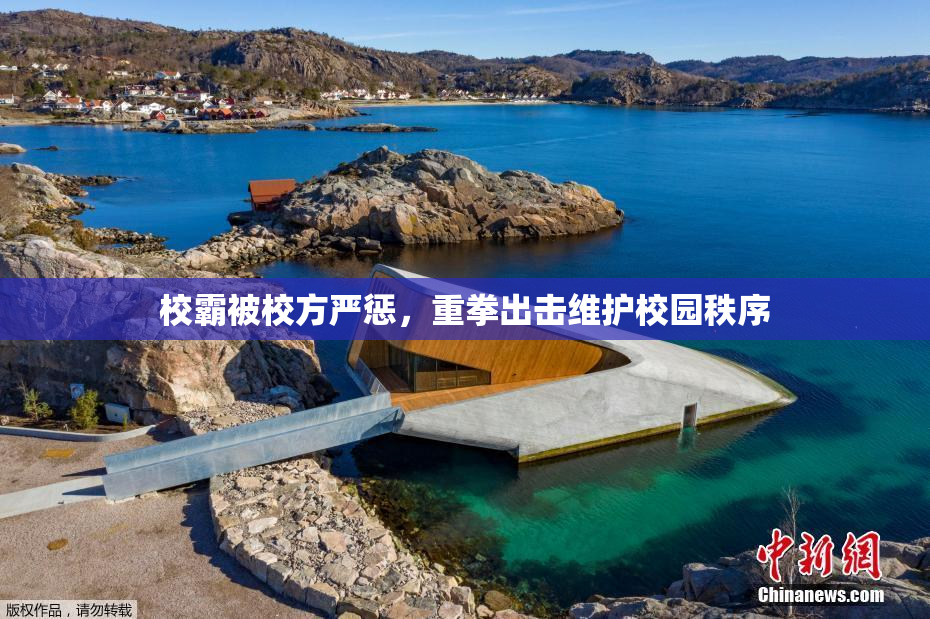 校霸被校方严惩，重拳出击维护校园秩序