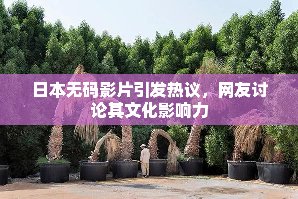 日本无码影片引发热议，网友讨论其文化影响力
