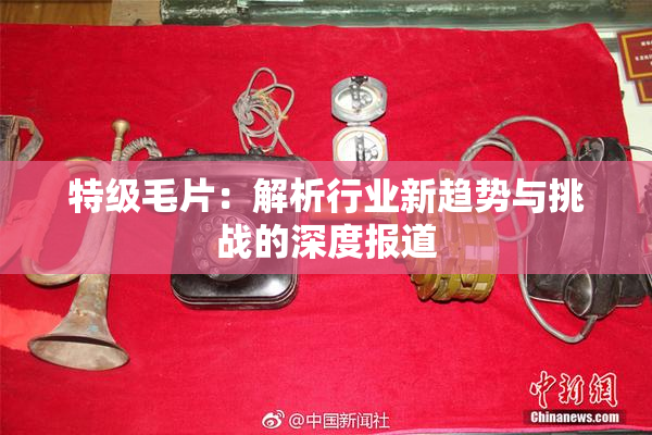 特级毛片：解析行业新趋势与挑战的深度报道