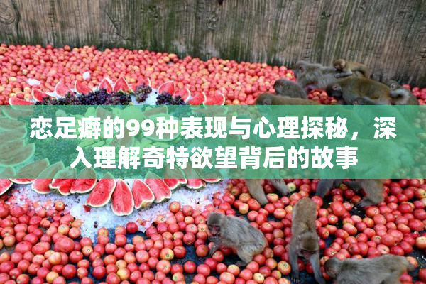 恋足癖的99种表现与心理探秘，深入理解奇特欲望背后的故事
