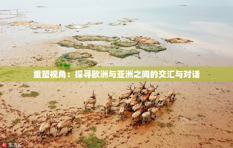重塑视角：探寻欧洲与亚洲之间的交汇与对话