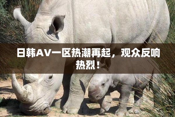 日韩AV一区热潮再起，观众反响热烈！